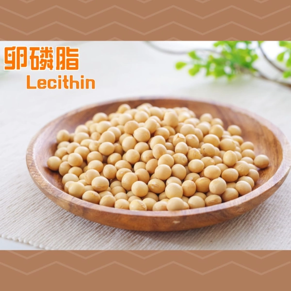 卵磷脂 lecithin 益處 功效