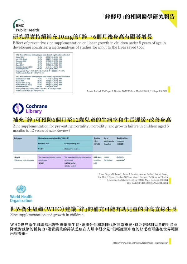 鋅酵母 身高 生長